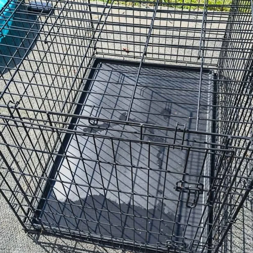 Kennels